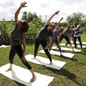 Juhu – die Draußen-Yoga-Saison beginnt bald