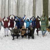 Neue Workshops: Yoga & Natur