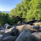 Sonnwendfeier mit Yoga und Feuer im Grünen