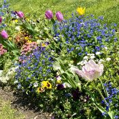 Juhu – Zeit für mich, in der Natur, mit Yoga